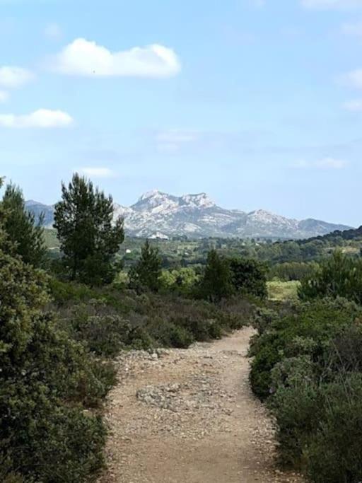 La Pitchoune : Aux Pieds Des Alpilles *
