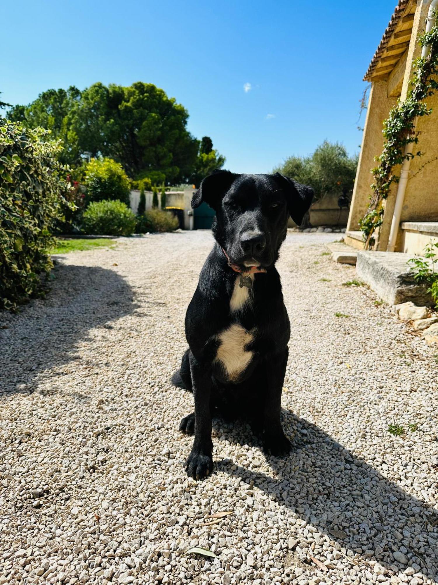 Ferienhaus La Pitchoune : Aux Pieds Des Alpilles Mouries