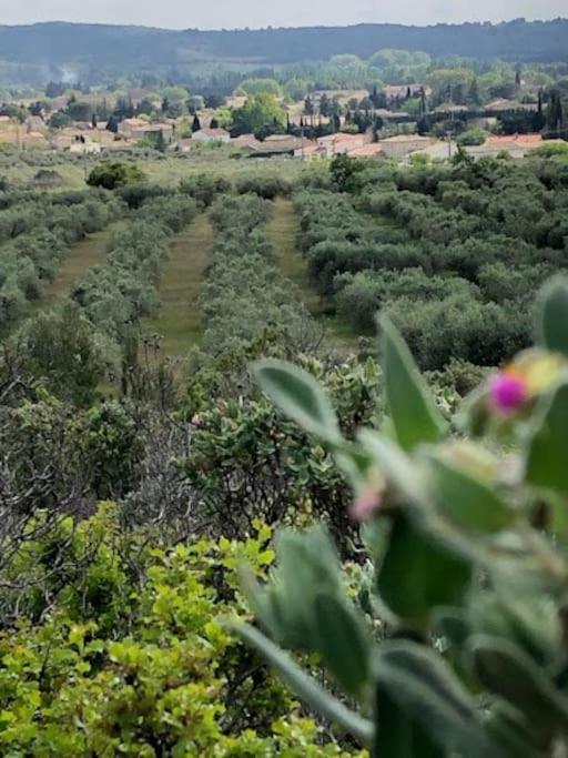 Hébergement de vacances La Pitchoune : Aux Pieds Des Alpilles Mouries