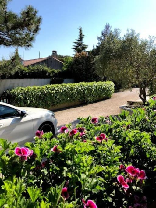 La Pitchoune : Aux Pieds Des Alpilles Hébergement de vacances Mouries